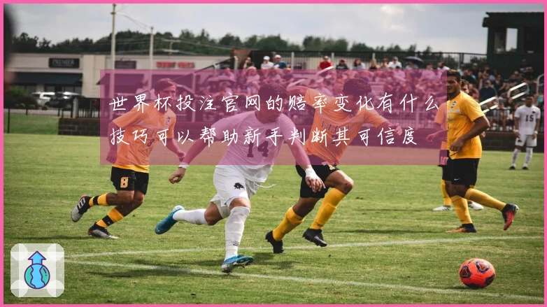 世界杯投注官网的赔率变化有什么技巧可以帮助新手判断其可信度