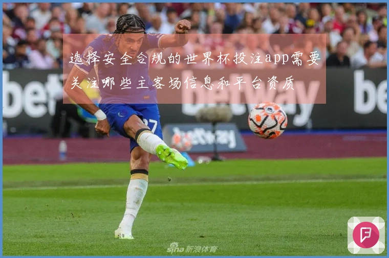 选择安全合规的世界杯投注app需要关注哪些主客场信息和平台资质