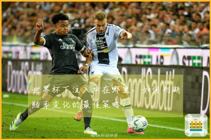 世界杯下注入口在哪里，如何判断赔率变化的最佳策略？