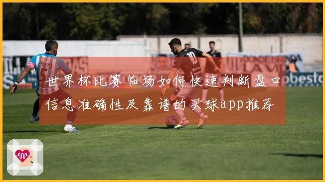 世界杯比赛临场如何快速判断盘口信息准确性及靠谱的买球app推荐