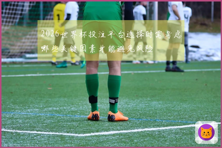 2026世界杯投注平台选择时需考虑哪些关键因素才能避免风险