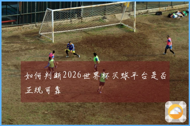 如何判断2026世界杯买球平台是否正规可靠