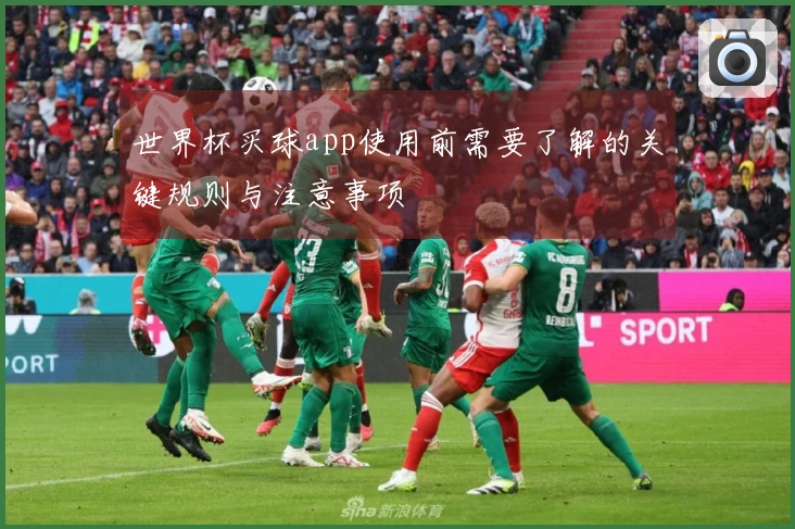 世界杯买球app使用前需要了解的关键规则与注意事项