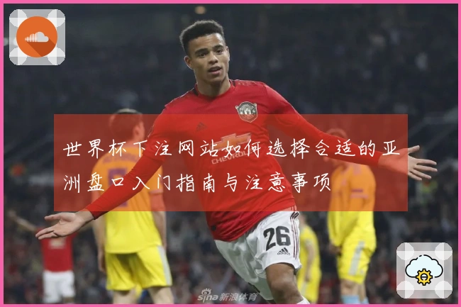 世界杯下注网站如何选择合适的亚洲盘口入门指南与注意事项