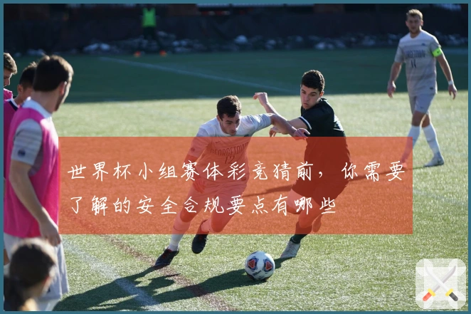 世界杯小组赛体彩竞猜前，你需要了解的安全合规要点有哪些