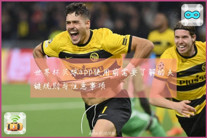 世界杯买球app使用前需要了解的关键规则与注意事项