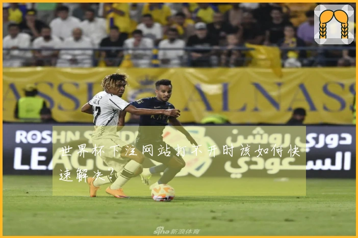 世界杯下注网站打不开时该如何快速解决？
