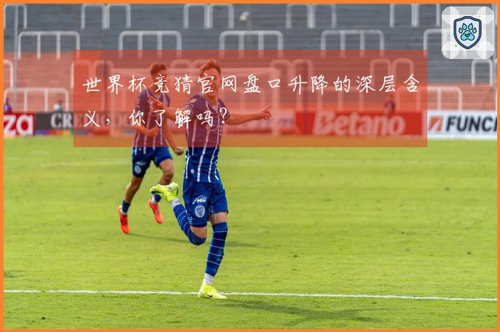 世界杯竞猜官网盘口升降的深层含义，你了解吗？