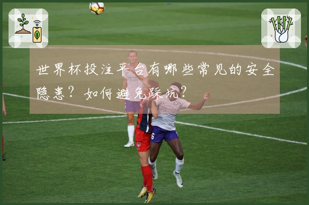 世界杯投注平台有哪些常见的安全隐患？如何避免踩坑？