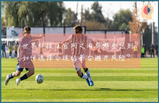 世界杯投注官网之间有哪些区别？如何选择合适的平台避开风险？