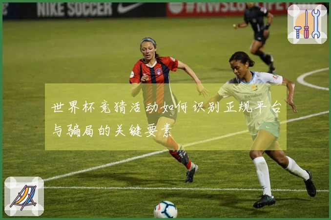 世界杯竞猜活动如何识别正规平台与骗局的关键要素