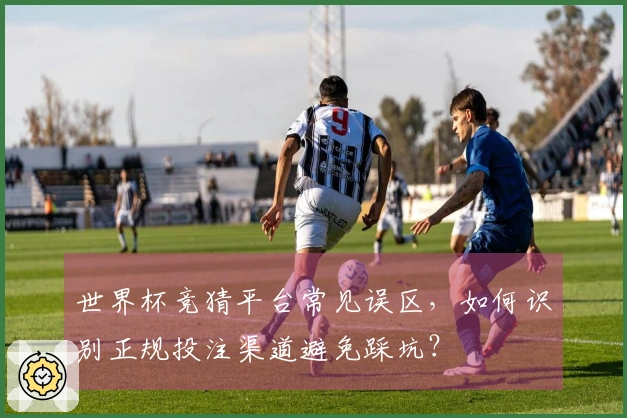 世界杯竞猜平台常见误区，如何识别正规投注渠道避免踩坑？
