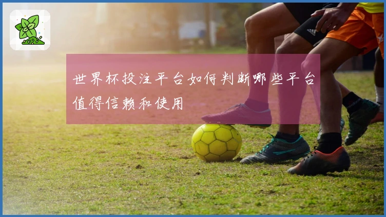 世界杯投注平台如何判断哪些平台值得信赖和使用