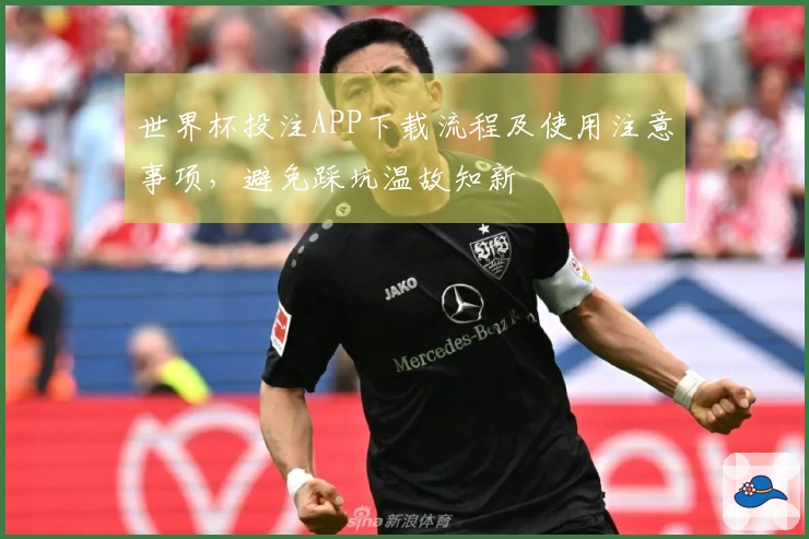 世界杯投注APP下载流程及使用注意事项，避免踩坑温故知新