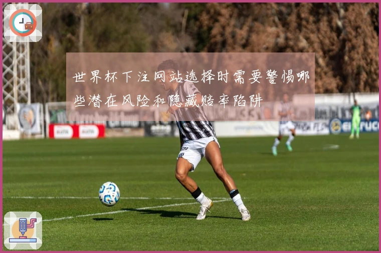 世界杯下注网站选择时需要警惕哪些潜在风险和隐藏赔率陷阱