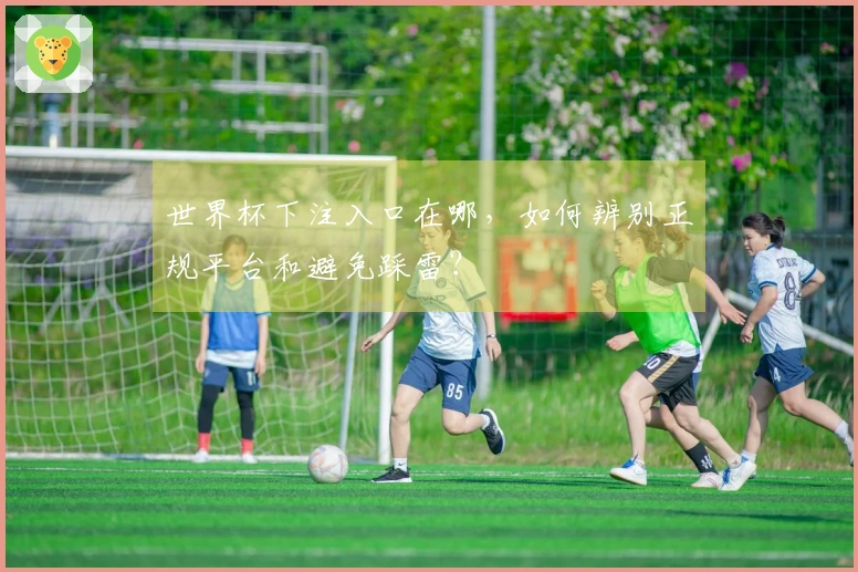 世界杯下注入口在哪，如何辨别正规平台和避免踩雷？