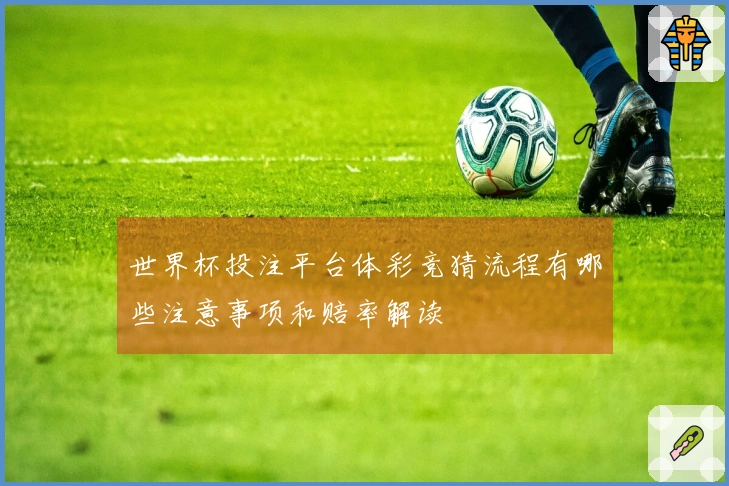 世界杯投注平台体彩竞猜流程有哪些注意事项和赔率解读