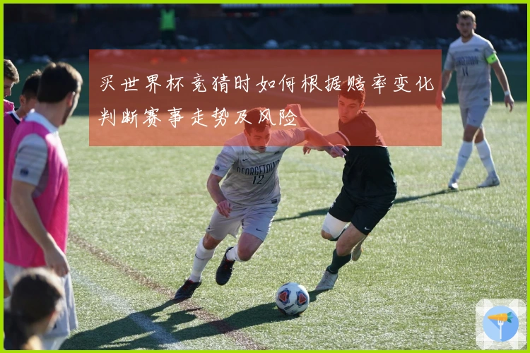 买世界杯竞猜时如何根据赔率变化判断赛事走势及风险