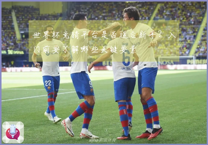 世界杯竞猜平台是否适合新手？入门前要了解哪些关键要素