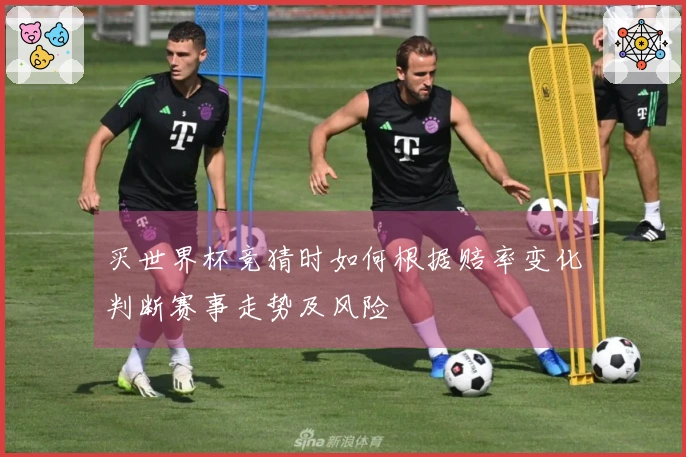 买世界杯竞猜时如何根据赔率变化判断赛事走势及风险